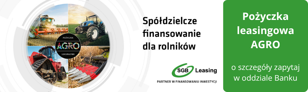 Leasing i pożyczka leasingowa
